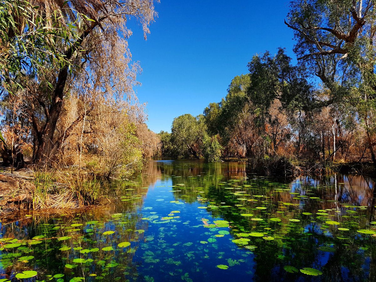 ngurranggatours's tweet image. Ain&apos;t no other place in the world quite like the #Pilbara #Ngarluma #Yindjibarndi #Karratha #justanotherdayinwa