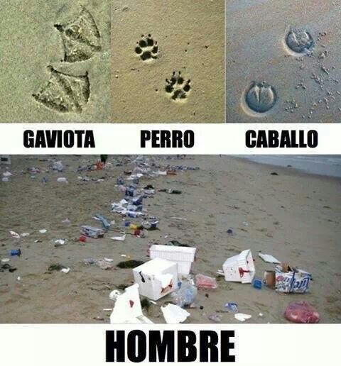 guardiacivil's tweet photo. El estado de la playa depende de que los visitantes no dejen huellas. ¡Basta ya! borra las tuyas. 
#GComprometidos https://t.co/5bgcHfFYWW
