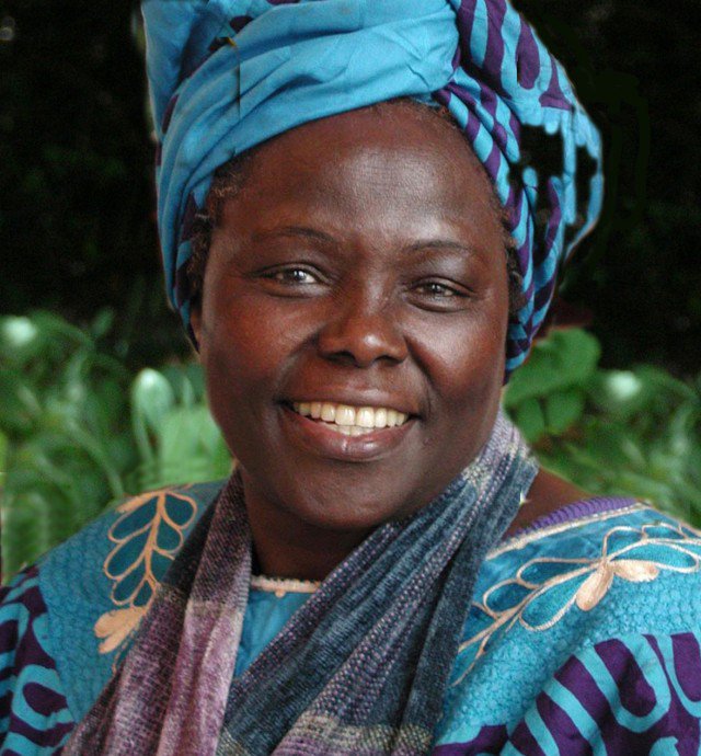 ThokoHara's tweet photo. #BlackWomenDidThat Wangari Maathai, the first African woman receipient of the Nobel Peace Prize. https://t.co/7T5vckZ7nw