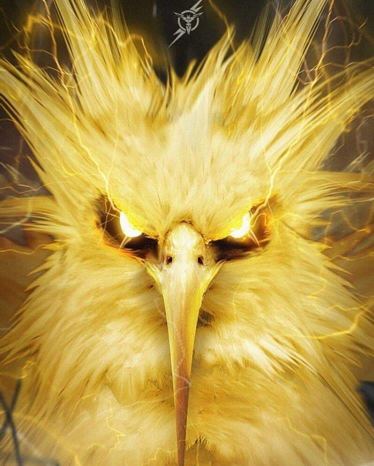 TeaminstinctENG's tweet photo. We are the Storm. #PokemonGO #TeamInstinct @DNR_CREW @PokeTrends @NightRTs @Relay_RTs @Vikkstar123 @OMGitsAliA https://t.co/SzRTYWgKE7