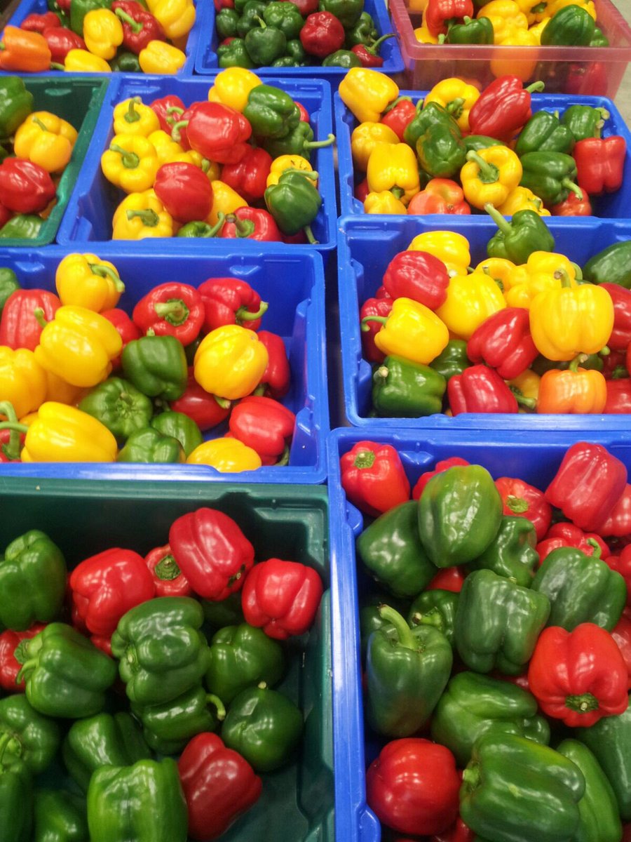 Nims_FruitVeg's tweet photo. Ending the week with Peppers -Sliced- Air Dried - Packed -simple! #NotADropOfOil 100% #Natural #Vegan #KLBDKosher https://t.co/H3xVZWKyx3
