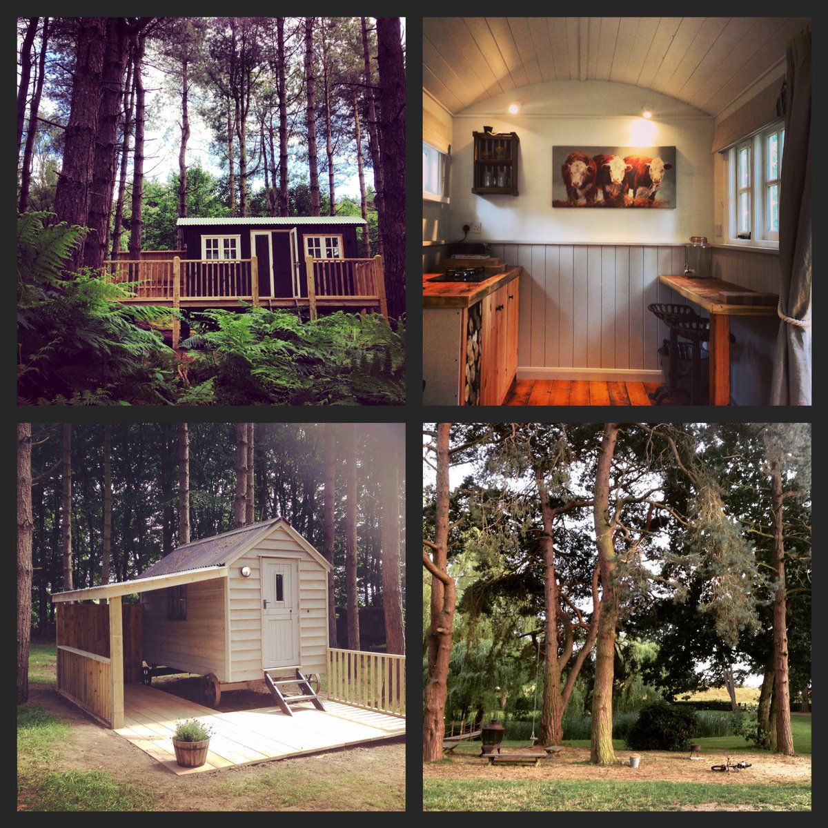 wildernessweds's tweet photo. Last minute summer glamping offers as we introduce our King Nutkin Tree Cabin and Tawny Shepherds Hut #glamping https://t.co/NAvJppTNzf