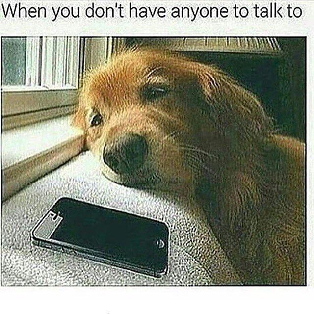 Ejayy225's tweet photo. Me tho... https://t.co/jgaSQuQ92e