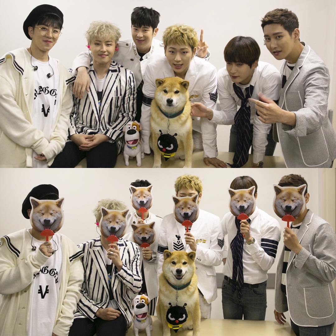 po_clock's tweet photo. 강아지도 귀엽고 오빠들도 귀엽다 8ㅅ8 https://t.co/EHRvO0jCWT