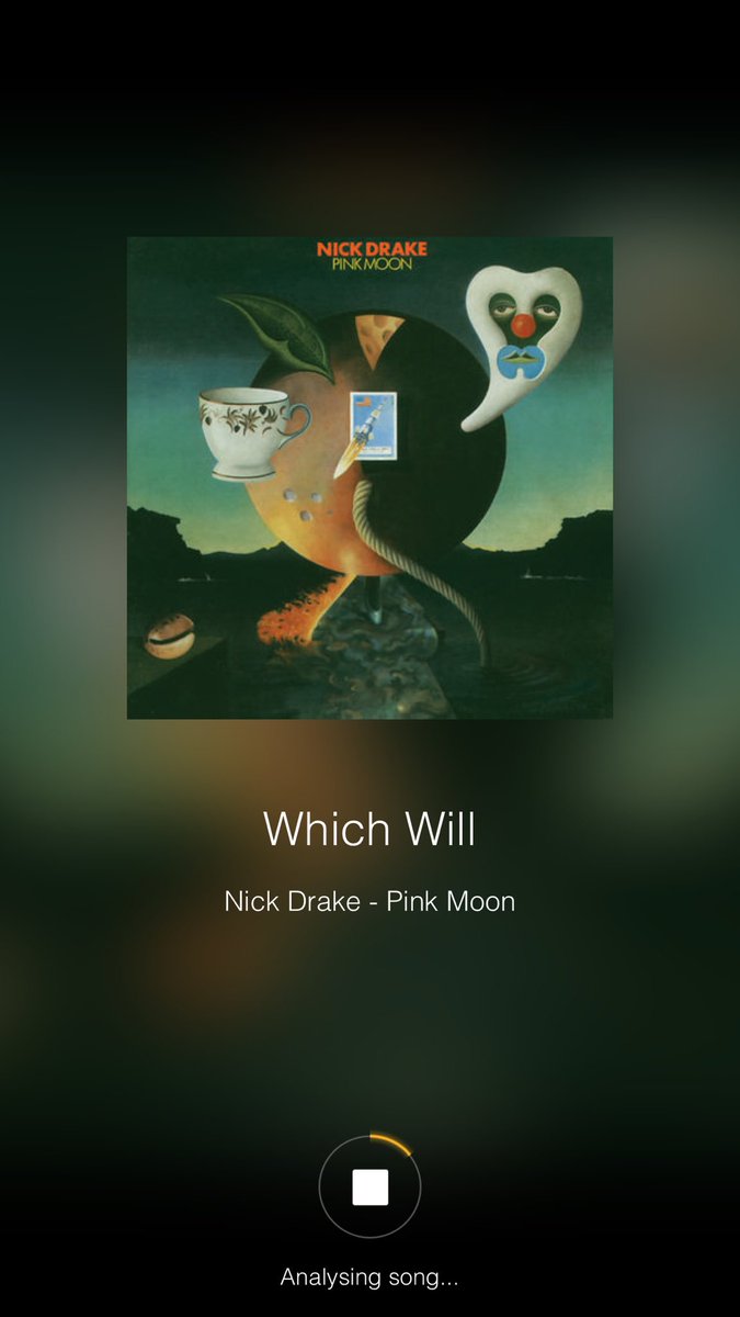getjamn's tweet photo. Here's a sweet jam for you on #jamnplayer Which Will-Nick Drake #pinkmoons #guitarcover #jamndaily https://t.co/b3MuNS36zs