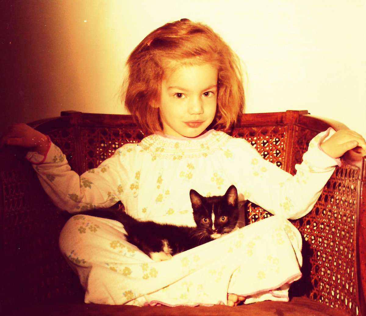 digettinger's tweet photo. Diana Gettinger is crowdrising for Di's Birthday Wish: Save all the kitties right meow!: https://t.co/XThvCthduI https://t.co/NJ7SRdFREK