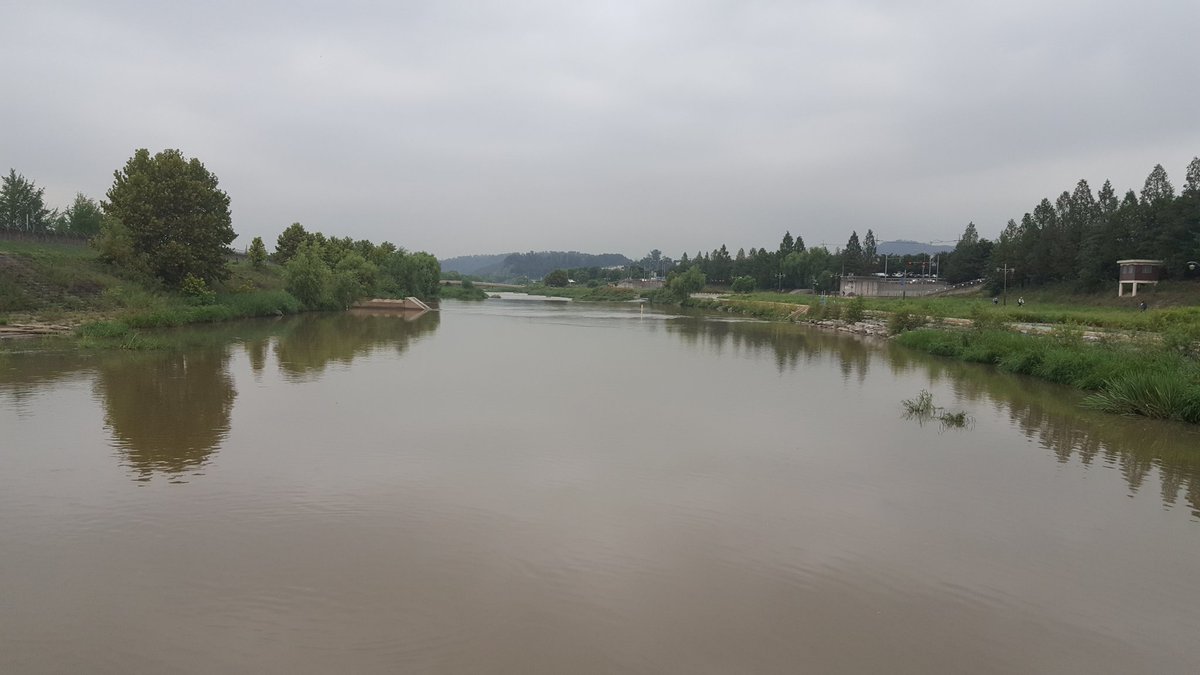 #성남시 탄천의 여름
둔전교 하류 전경
아름다운 탄천 입니다.