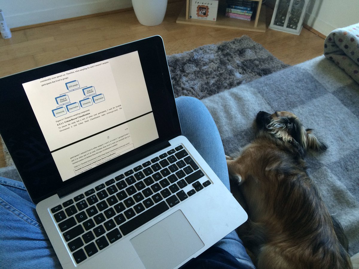 Felicityzara's tweet photo. He's such great company while I proof read...oh to be a dog.  #phdlife #sleepypup #phdchat https://t.co/TRorrQ6zcw
