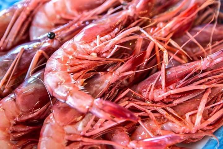 CasaPacaRte's tweet photo. Exponemos a la vista de nuestros clientes y comensales nuestra selección de mariscos frescos https://t.co/LZrFChleuP https://t.co/sk2lNSBn49