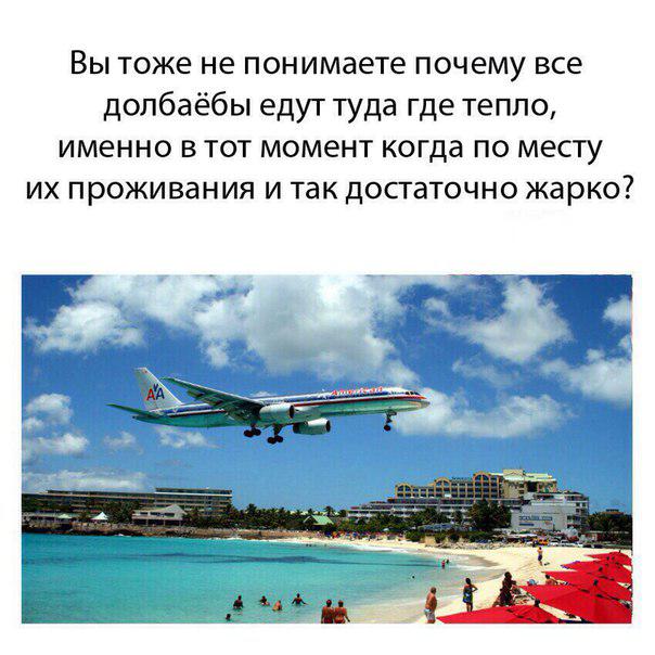 #свежак от #горгонзо