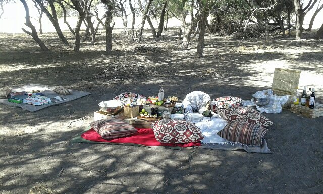 WeAreWilderness's tweet photo. Best bring your appetite to Kalahari Plains! #picnic #brunch #CentralKalahari #safari https://t.co/A4hrHiQG3w https://t.co/4Bdv8em0AI