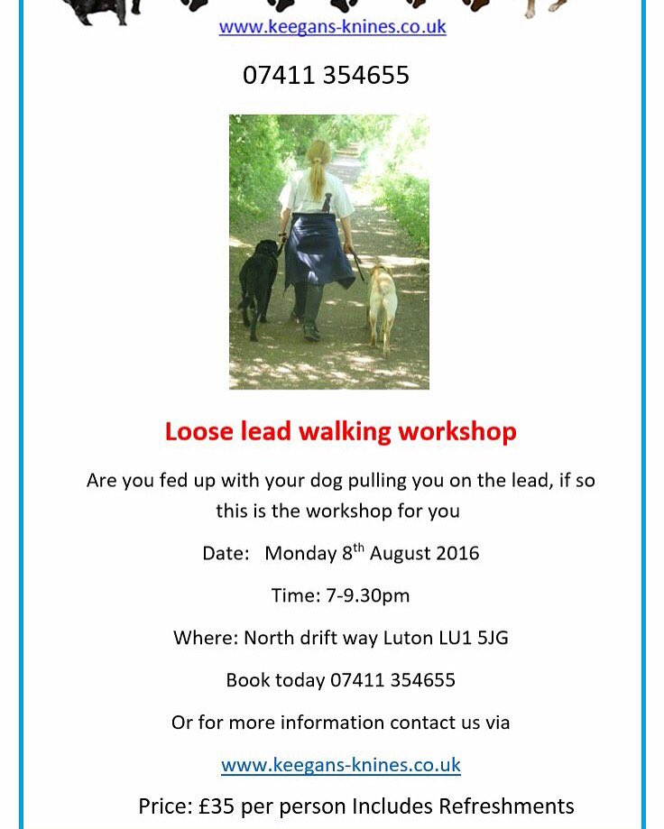 #looseleadwalking #heelwork #offleadobedience #workshop #canine #dogs #puppies #luton #bedfordshire #hertfordshire