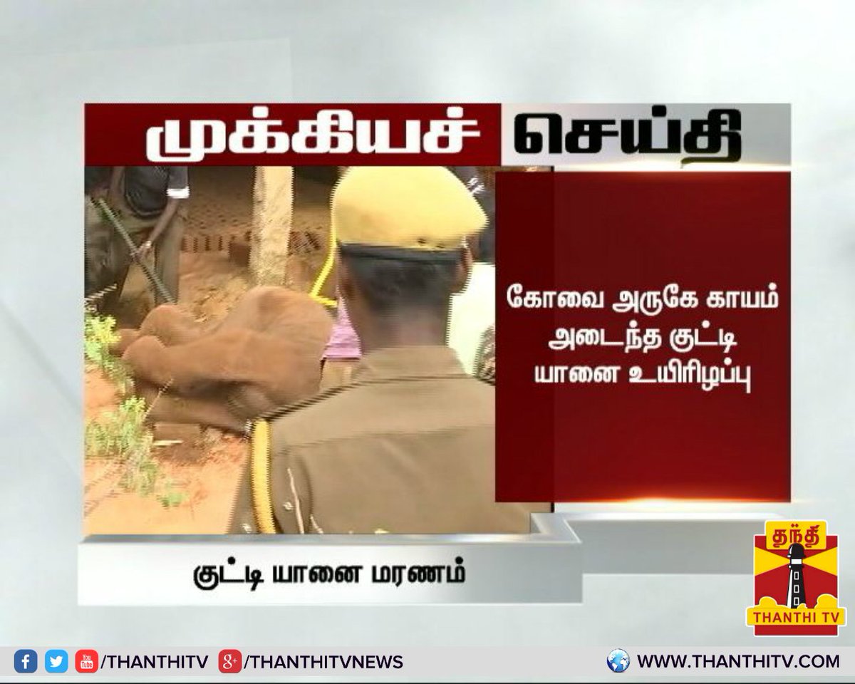 ThanthiTV's tweet photo. #BreaNews கோவை அருகே காயம் அடைந்த குட்டி யானை உயிரிழப்பு
#WoundedElephant #ElephantCub #ElephantCubDied #Coimbatore https://t.co/pBuag6UH26