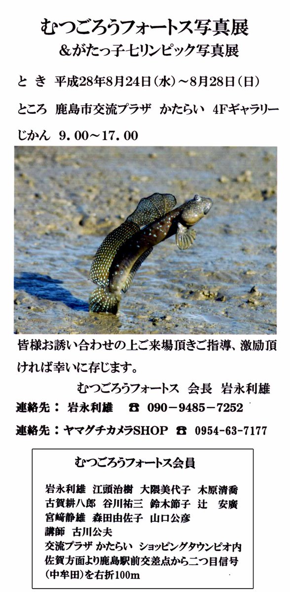 ヤマグチカメラｓｈｏｐ Camera Yamacame Twitter