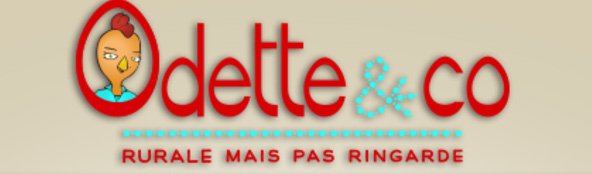 TChercheuses's tweet photo. #media la #revue de @lesodettes est #rural mais  pas #ringarde https://t.co/qcPil1xeFE https://t.co/tsNJltmx0t