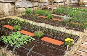 granfjsh's tweet photo. Una alternativa laboral: los productos ecológicos https://t.co/8LgGaHcBB5 https://t.co/dW3DkNVN2I