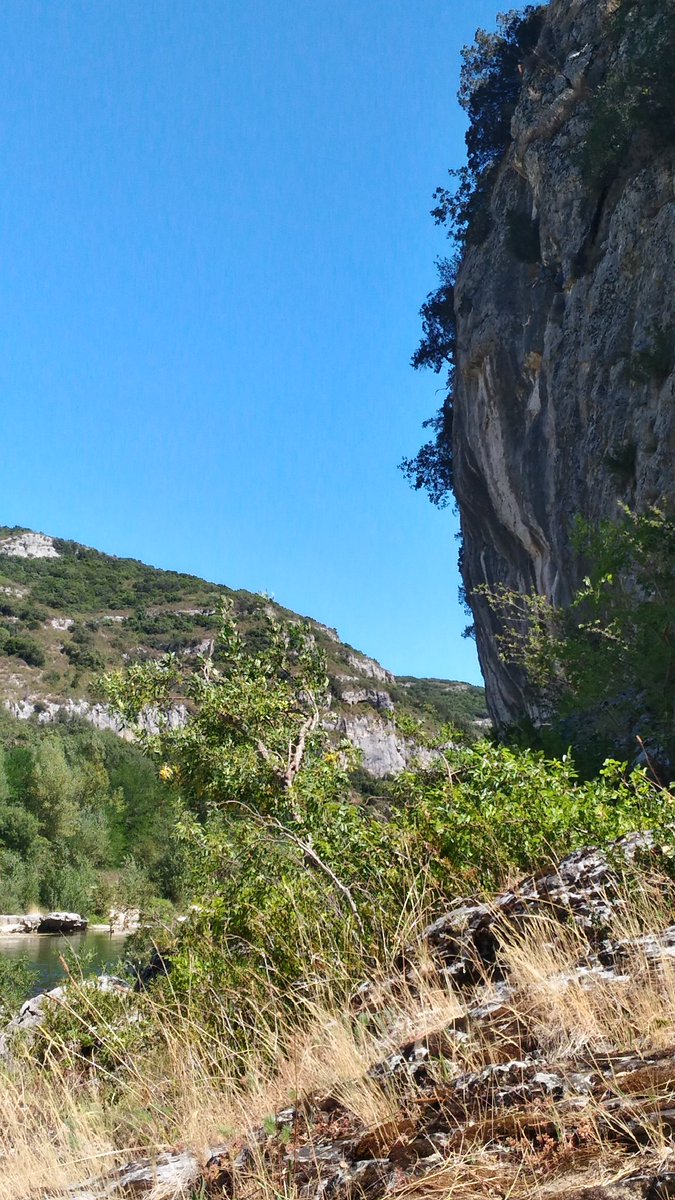 Ours_et_Chat's tweet photo. @GuideDuRoutard on vient d'en faire une,la Baume,Poulx dans le Gard.Pour Ours, impeccable, pour moi aille!Le retour https://t.co/7oW0tzmTeX