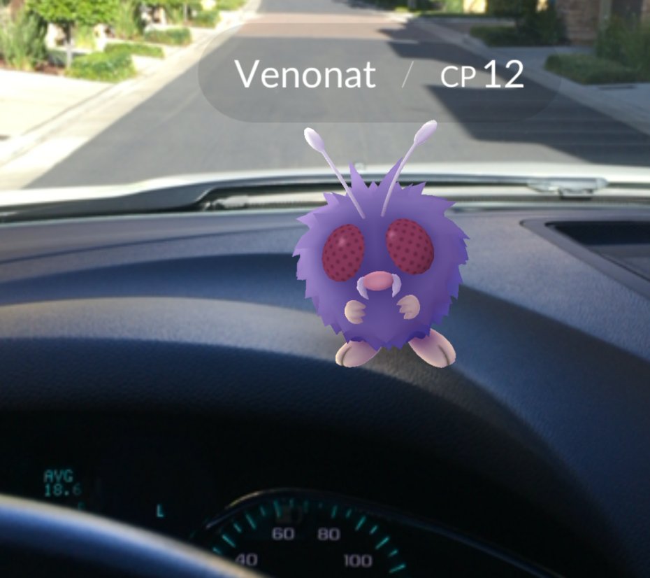 DriveNowNetwork's tweet image. While we all love Pokemon Go, be a safe driver and put your phone away. Stay safe and catch em all!
#PokemonGO