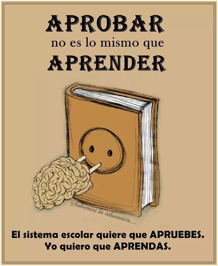 sosecolequito's tweet image. SOS école acompaña a tus hijos con tutores profesionales a todo nivel. T. 09 85 53 56 69