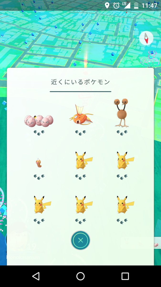ポケモンの巣 新宿御苑 Twitter Search ポケモンの巣 新宿御苑 Twitter Search