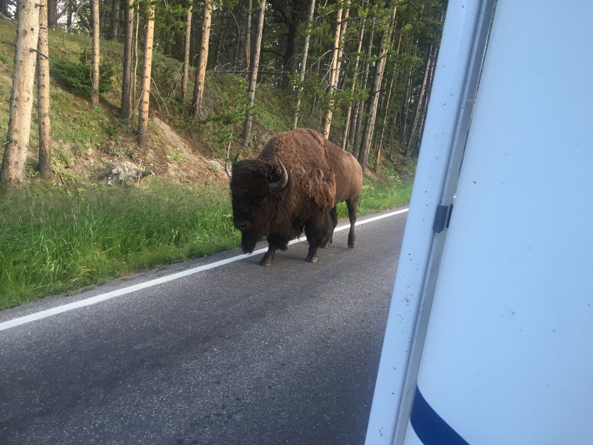 KevSchmitt (@kevschmitt) on Twitter photo 