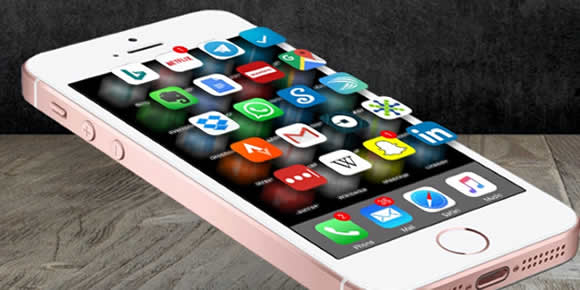 Softensity tweet media