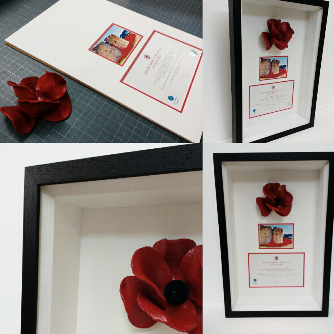 Robinsonframes's tweet photo. #towerpoppy #towerpoppies #poppys https://t.co/ruvUPy2Mfv