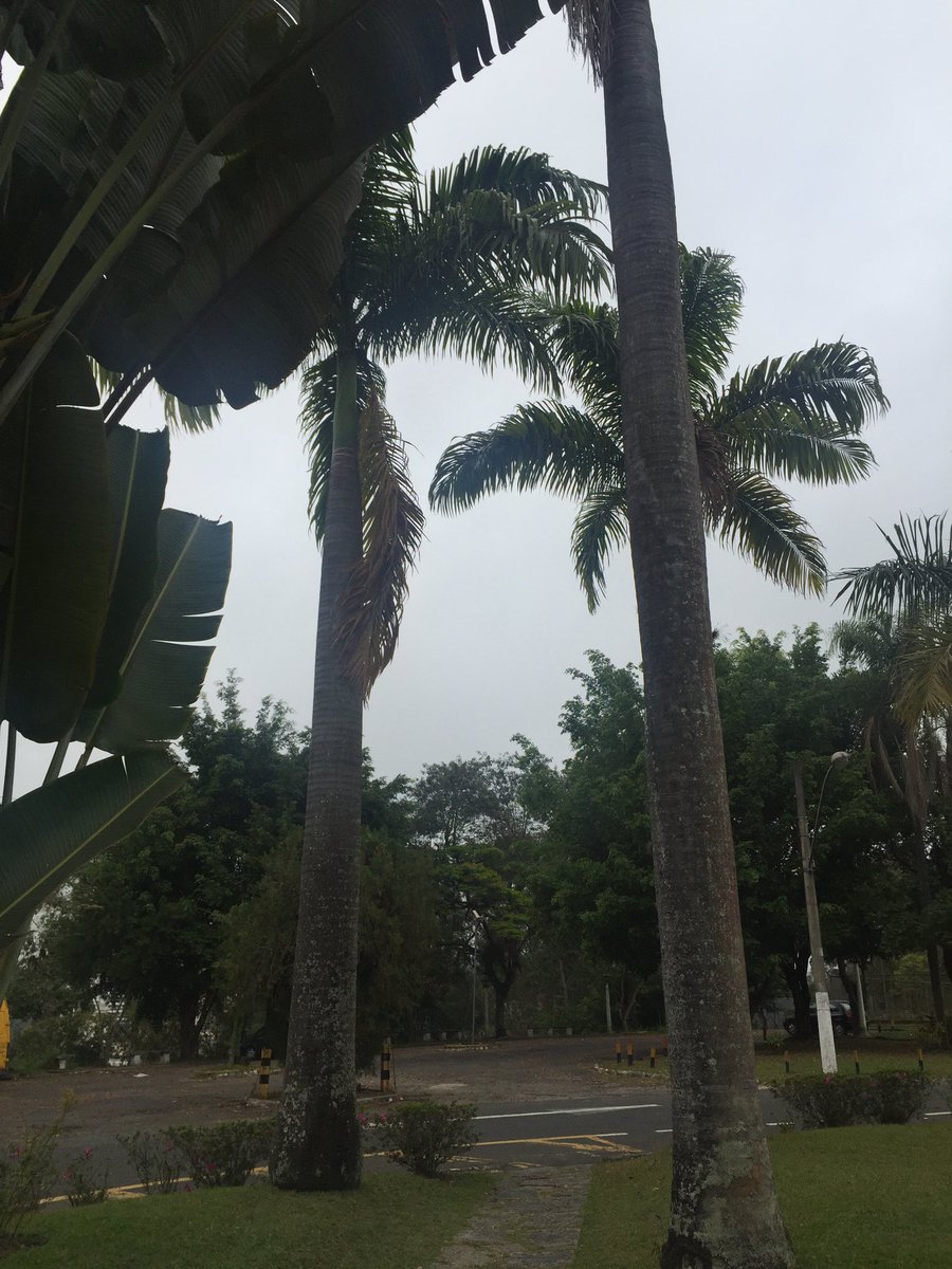 Волта редонда хот жудогийн тамирчдыг маань хураа хайрлан угтаж авлаа.