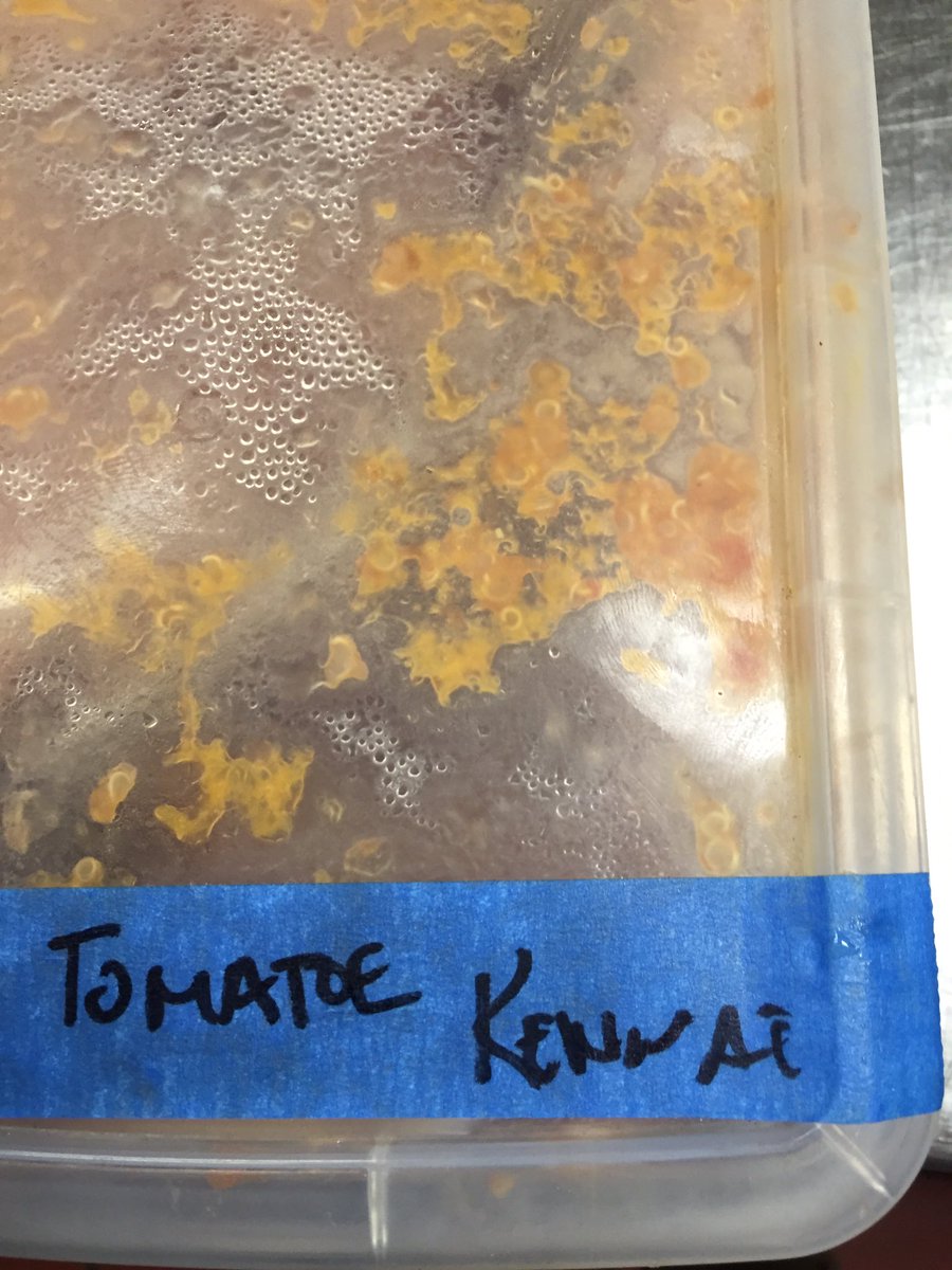 OGkitchenQuotes's tweet photo. Heard, Tomato Quinoa in the house....#kitchenTape #staffComments https://t.co/TNaGnX9nIW