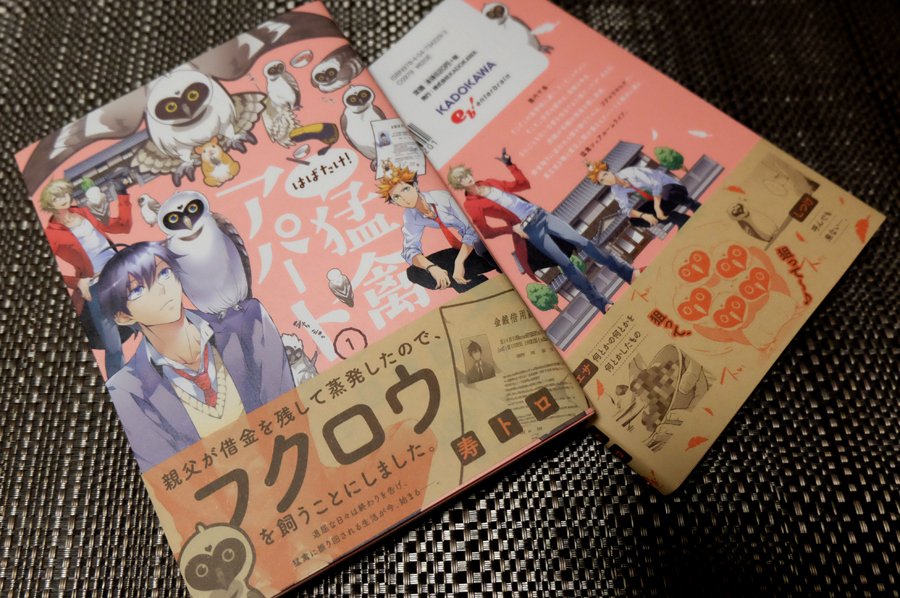 susizume's tweet photo. 8月1日に発売の「はばたけ！猛禽アパート」1巻の見本が届きました！表紙かわいくデザインしてもらいました。インパクトがすごいですｗ　　すーちゃんにも販促写真に協力してもらおうと思ったんだけど、全然真面目に撮らせてくれません…。 https://t.co/kIn11yJ7lk