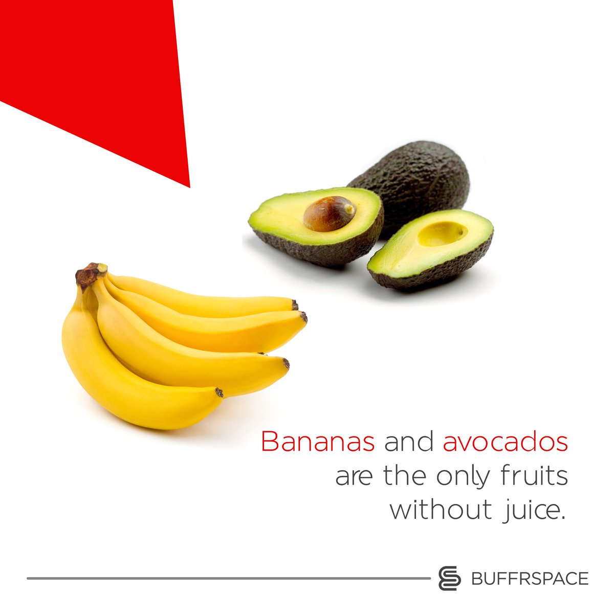 BuffrSpace's tweet photo. So you'll have to load up the blender if you're truly itching for banana fruit juice. #FactFriday #TGIF #Buffrspace https://t.co/qd2W0O1uZr