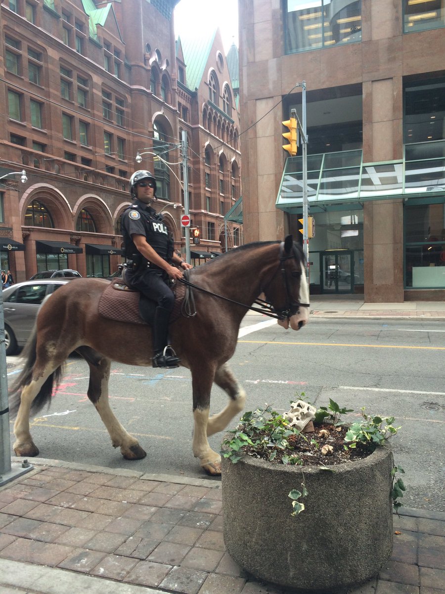 headzquash's tweet photo. It's not everyday you see a man on a horse...in the city. ❤️🐴
#Torontosfinest #IheartTO #YongeStreet https://t.co/2FYmgvmtbz