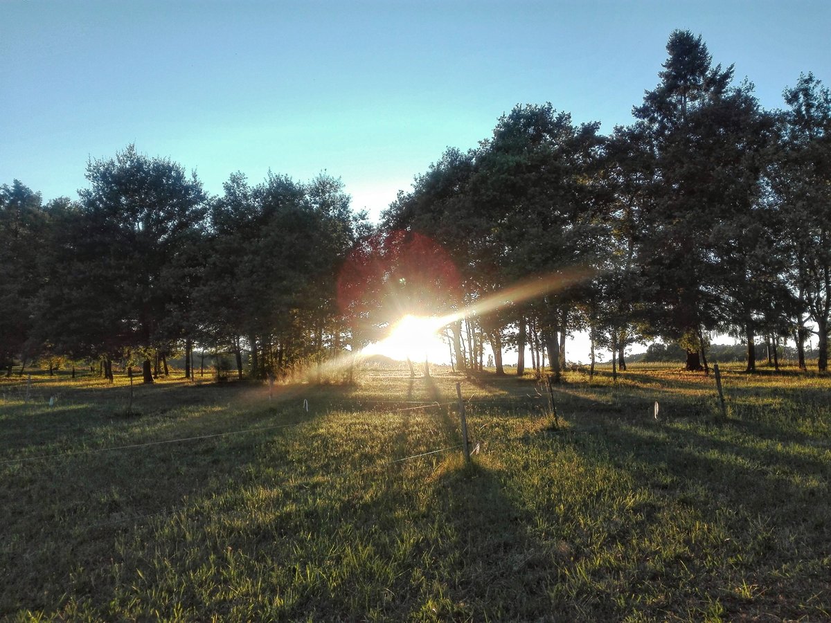 Coucher de soleil sur le joli village de #goujounac !  #cazalssalviac #sunset #nature #sun #MagnifiqueFrance