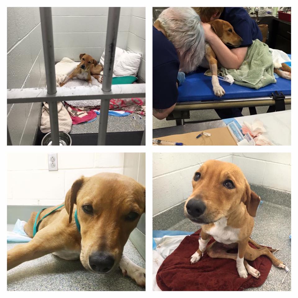 Lil Miss Elinor is out of the hospital, but not out of the woods! Read More here on.fb.me/1QbBXZm