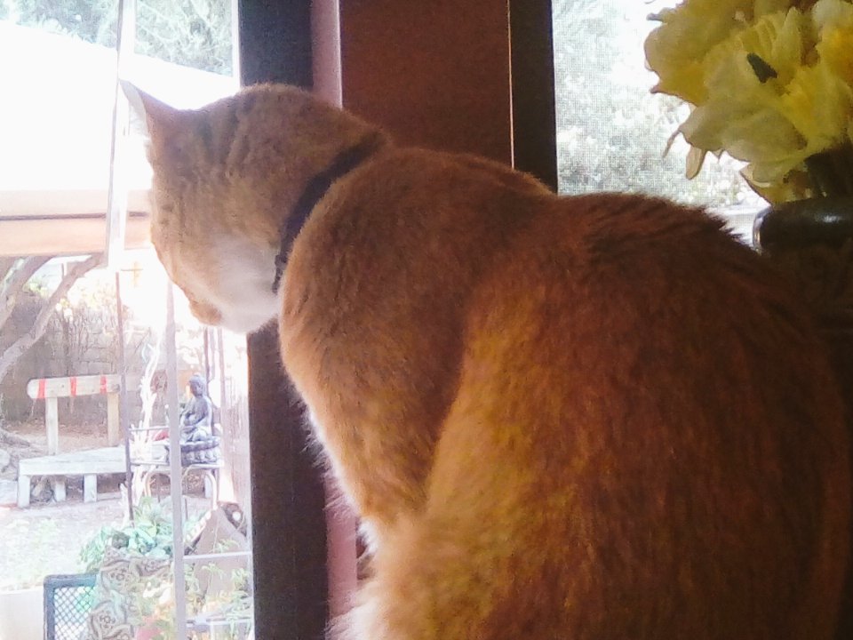 superrobot256's tweet image. 