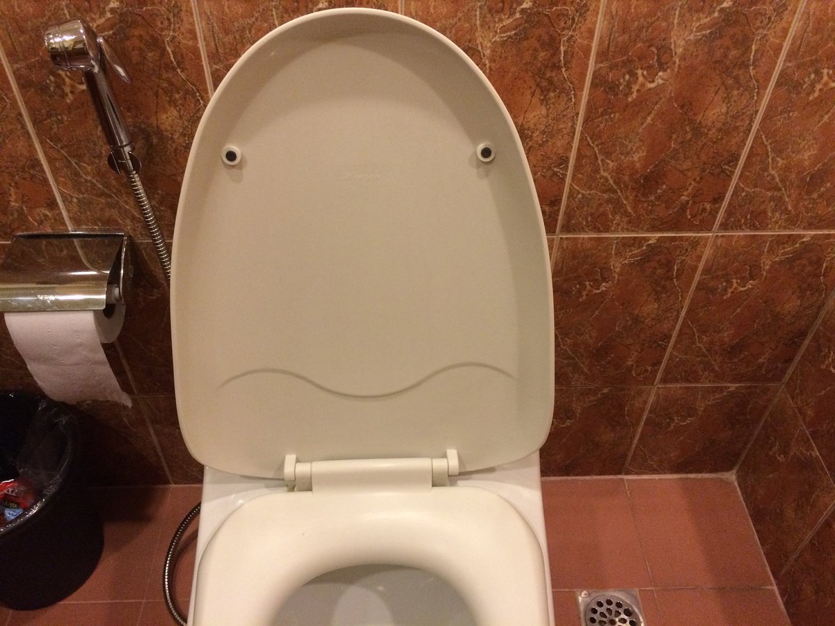 WatchOutHumans's tweet image. Nation's toilets don't care who shits in them wp.me/p64D1Z-QY