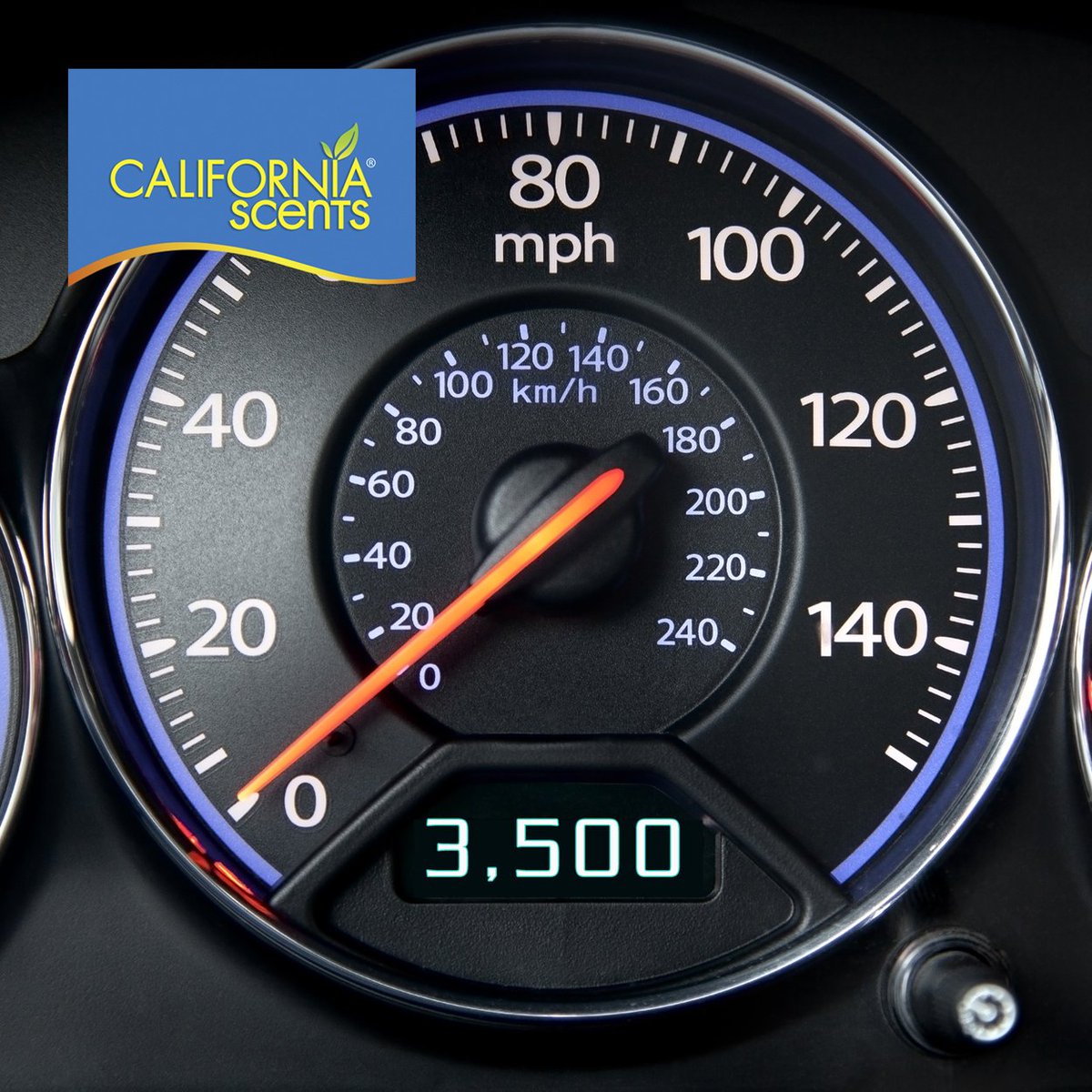 CalScents's tweet photo. Thank you for being our fan! 3,500 and counting! #californiascents #thankyou https://t.co/mqvNMQlOYO