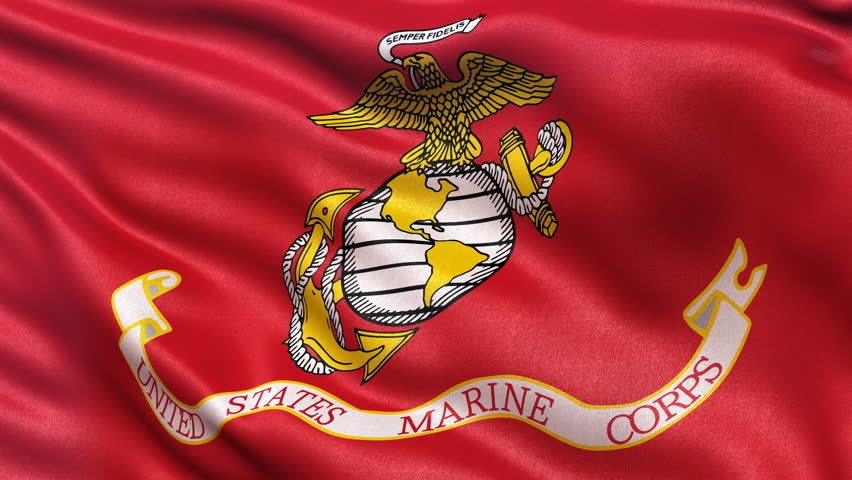 PolyticalAnimal's tweet photo. @realDonaldTrump Never insult any person who has SERVED under this flag  #GeneralJohnAllen #SemperFi https://t.co/UTBWdxNmYV