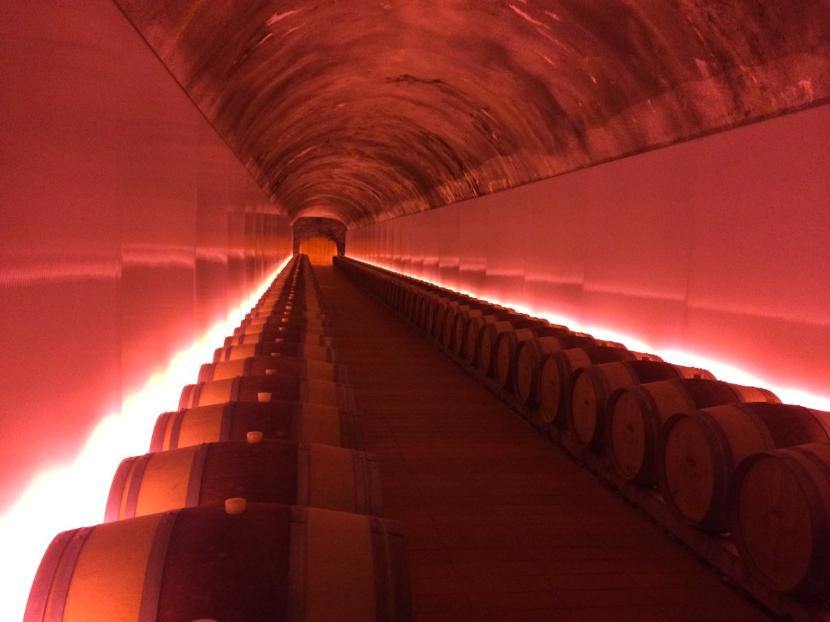 StephiRudolph's tweet photo. Rosso. #PetraWine #redwine #Tuscany #wine #nature #architecture https://t.co/uZNWV4khAc