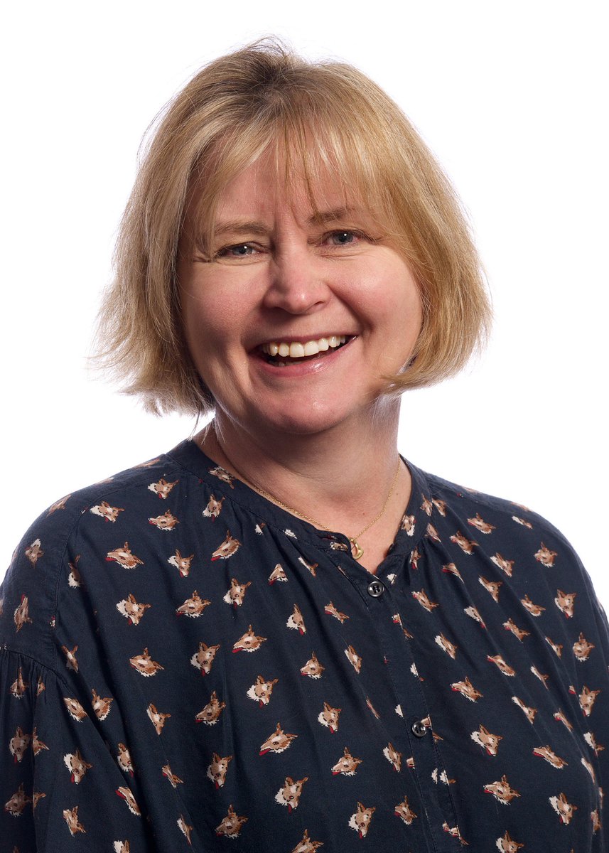 BetsiCadwaladr's tweet photo. Welcome, best of luck @gillkharris on your first day in post as Executive Director of Nursing &amp; Midwifery @BCUHB https://t.co/TGiwtPKlB5