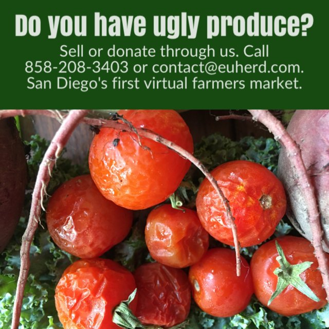 SaveGoodFood's tweet photo. Tomato Rescue https://t.co/OrvOAqLN7v  #uglyproduce #sandiego #farms #foodmakers via https://t.co/cf39z3OseV https://t.co/gU4yQLQdR3