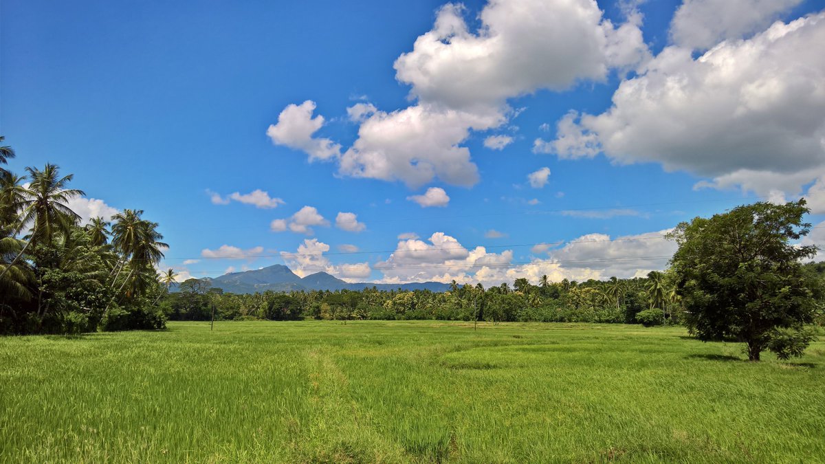 NawzilX's tweet image. #FirstPhoto from #SriLanka. 😍
Follow me on Facebook &amp;amp; Instagram for more.
#HDR #ShotOnLumia #ShotOnMyLumia #Lumia950