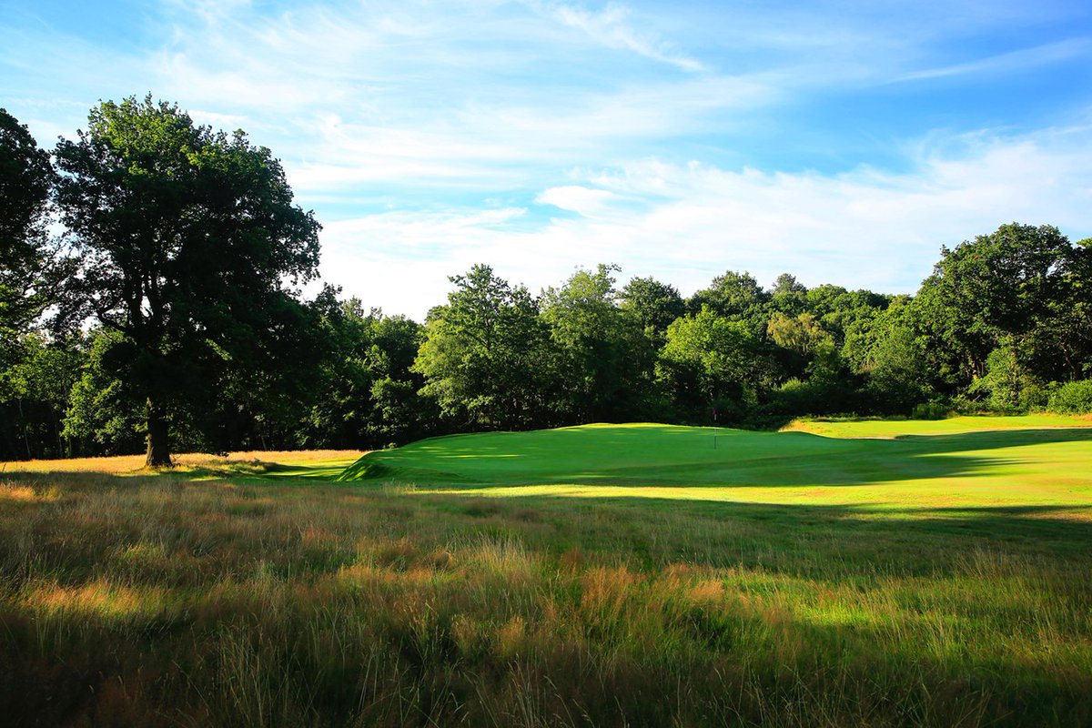 kevinmurraygolf's tweet photo. look closely at the back of the left hand side of the 9th @StonehamGC #dontgolong #GolfArt https://t.co/lWc47ikA6f