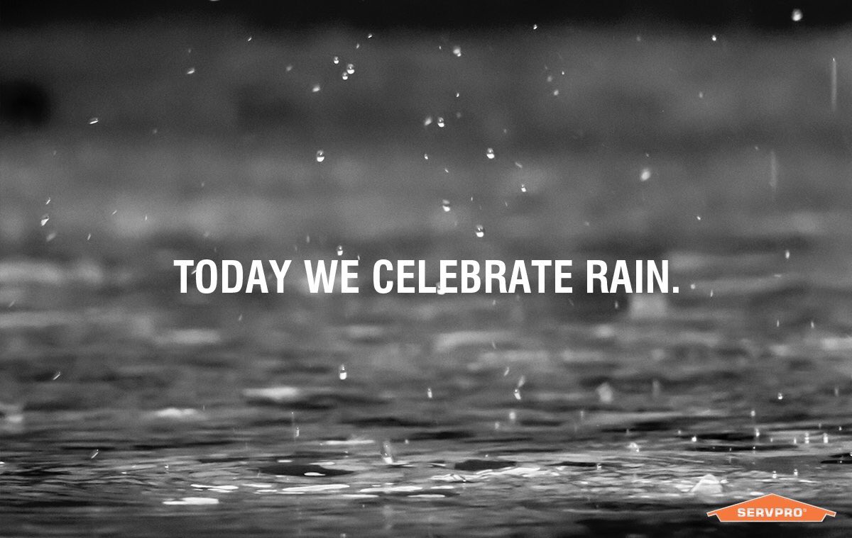 Some focus on the destructive effects of water, but today, we celebrate the life-giving quality of rain. #RainDay