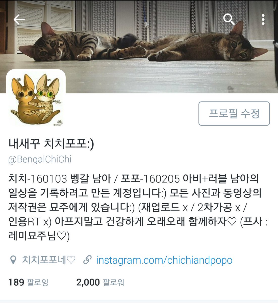 ChiChiNPoPo's tweet photo. RT요청) 2000 팔로워 이벤트🤗
치치포포의 일상을 기록하려고 만든계정이었는데 많은 분들이 칯퐆을 함께 지켜봐주셨네요! 정말 감사드립니다🙊 RT추첨을 통해 두분께 커피기프티콘 or 고양이간식 보내드릴게요! https://t.co/plOpu2XUXI