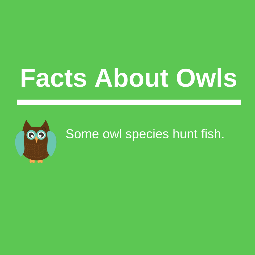 keepforests's tweet image. Share To Help Promote Awareness About Forest &amp;amp; Wildlife Conservation: KeepForests.com