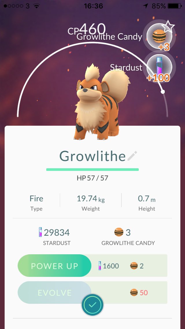 _willfitness's tweet image. My first Excellent throw, and w/ a Great Ball &amp;amp; Razzberry . Wasn't risking it 😅 #PokemonGO #ExcellentThrow #Mystic