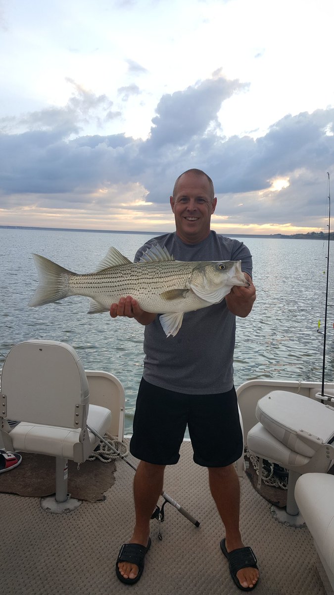 wiperfan's tweet photo. Great morning wiper fishing. 8 in just over an hour including 2 FAT ones at 28" and 4 at 24" #topwater #luv2fish https://t.co/pCcEZQrtZ3