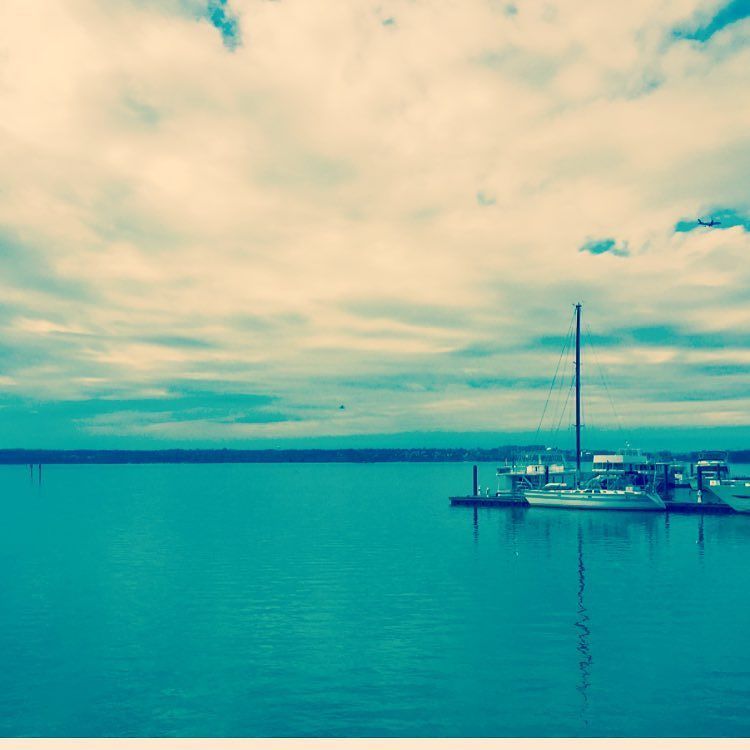 ACHotelNH's tweet photo. Dive into the weekend #blueskies #cheerstotheweek #nationalharbor https://t.co/qhrCY2Cbnn https://t.co/5OC52oDkmL