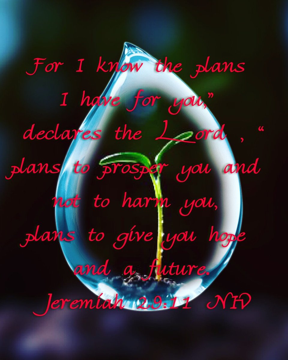 Revive_ChurchNC's tweet photo. #ReviveChurch #RevivetheCity #ReviveChurchPeninsula #JCSU #UNCCharlotte #StudentsforChrist #SundayService #Church https://t.co/mf5NDhvIwW